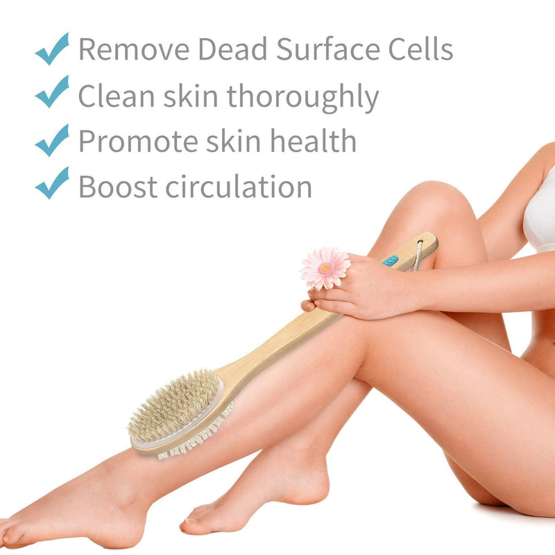 Metene Shower Brush with Soft and Stiff Bristles, Bath Dual-Sided Long Handle Back Scrubber Body Exfoliator for Wet or Dry Brushing 1 Count (Pack of 1) - BeesActive Australia