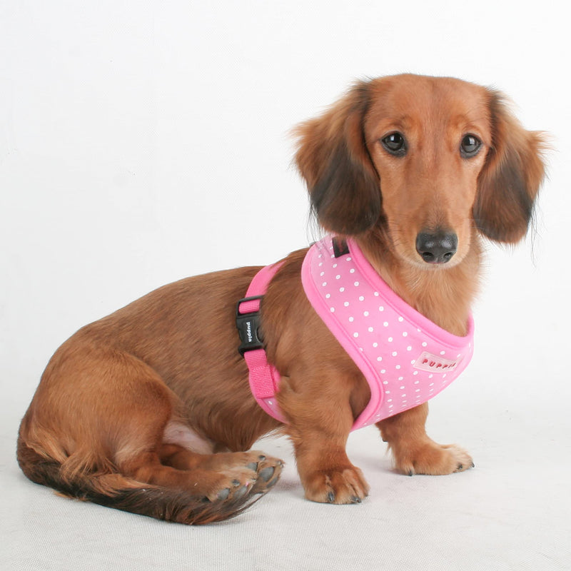 Puppia Dotty Harness A Pink Small - BeesActive Australia
