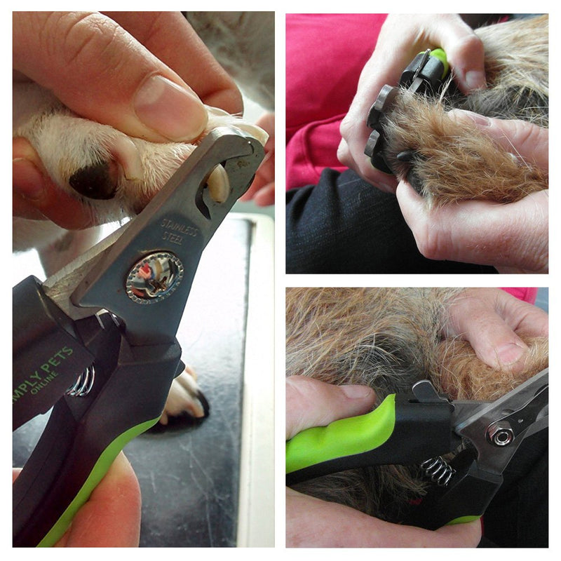 Dog Nail Clippers with Safety Guard - Superior Sharpness - Veterinarian Designed - Suitable for Large Dogs - Stainless Steel Dog Nail Trimmers - BeesActive Australia