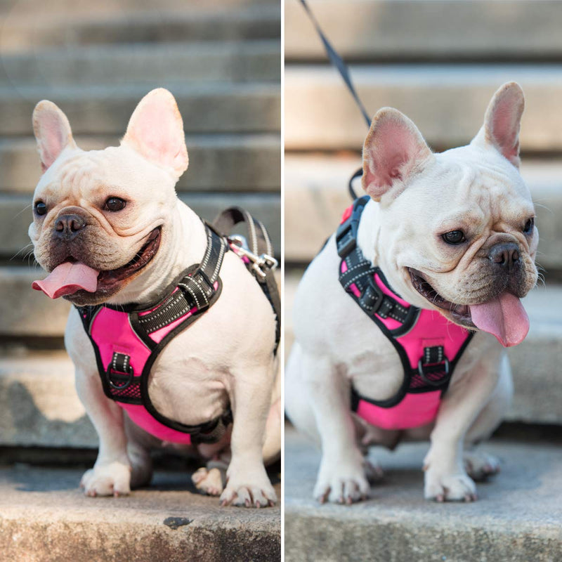 PoyPet No Pull Dog Harness, No Choke Front Lead Dog Reflective Harness, Adjustable Soft Padded Pet Vest with Easy Control Handle for Small to Large Dogs Medium Pink - BeesActive Australia