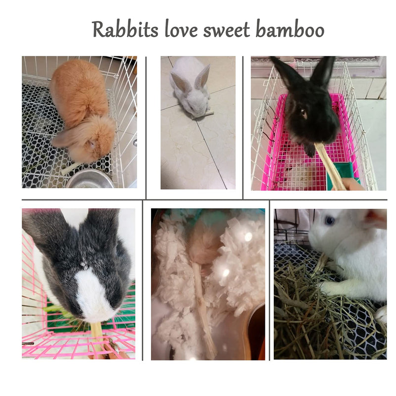 Hamiledyi Rabbit Litter Box,Pet Plastic Square Toilet Rabbit Bedding Potty Training Corner with Small Animal Cage Clean Broom Molar Sweet Bamboo for Bunny Chinchillas Guinea Pigs White - BeesActive Australia