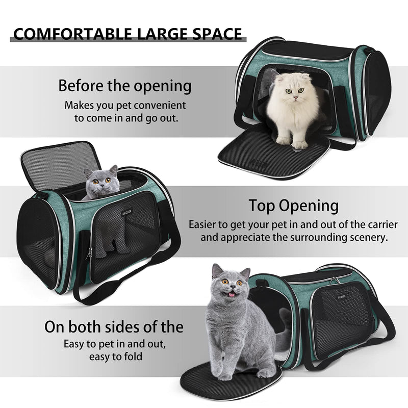 BAGLHER Pet Travel Carrier, Airline Approved Cat Carriers, Dog Carrier,Suitable for Small and Medium-Sized Cats and Dogs Pet Soft Carrier, Suitable for Travel, Hiking, and Outdoor Use. Green - BeesActive Australia