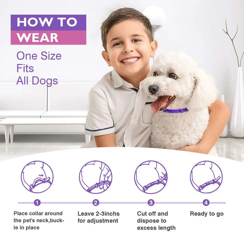 Dogs Calming Pheromones Collar 3 Packs Lasts 60 Days Relieve Reduce Anxiety or Stress 25 Inches Adjustable Relaxing Comfortable Collar Breakaway Design for All Small Medium and Large Dog Purple - BeesActive Australia