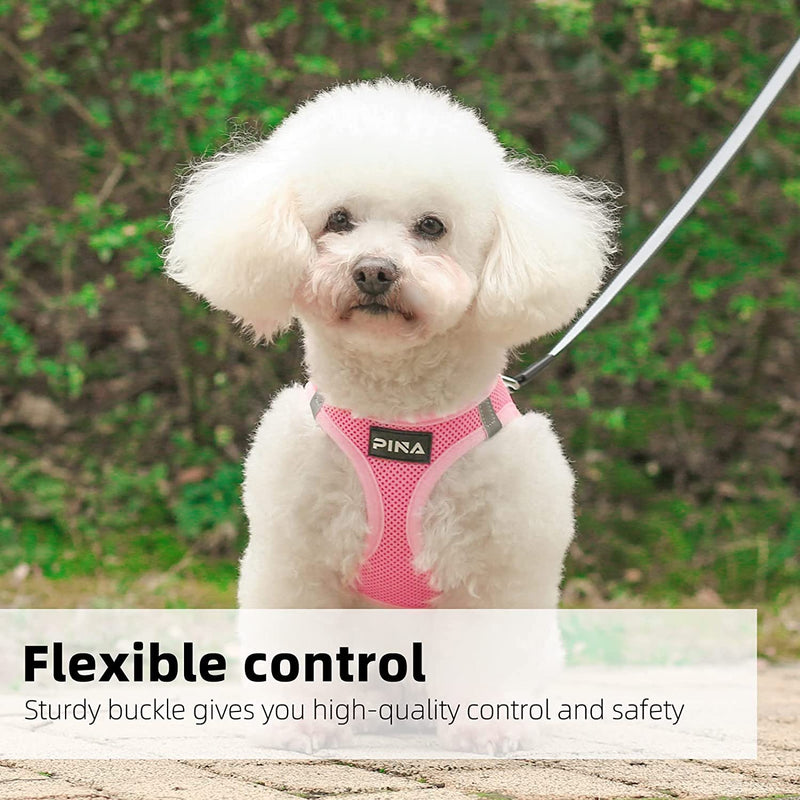 PINA Dog Harness for Small Medium Dogs No Pull, Dog Harness and Leash Set, No Choke Breathable Mesh Dog Vest Harness, Lightweight Adjustable Small Medium Dog Harness - Easy to Put On and Take Off S(Neck:10-13" ; Chest:14-17") Pink - BeesActive Australia