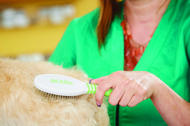 Andis Pet Premium Dog Grooming Tools Large Pin Brush - BeesActive Australia