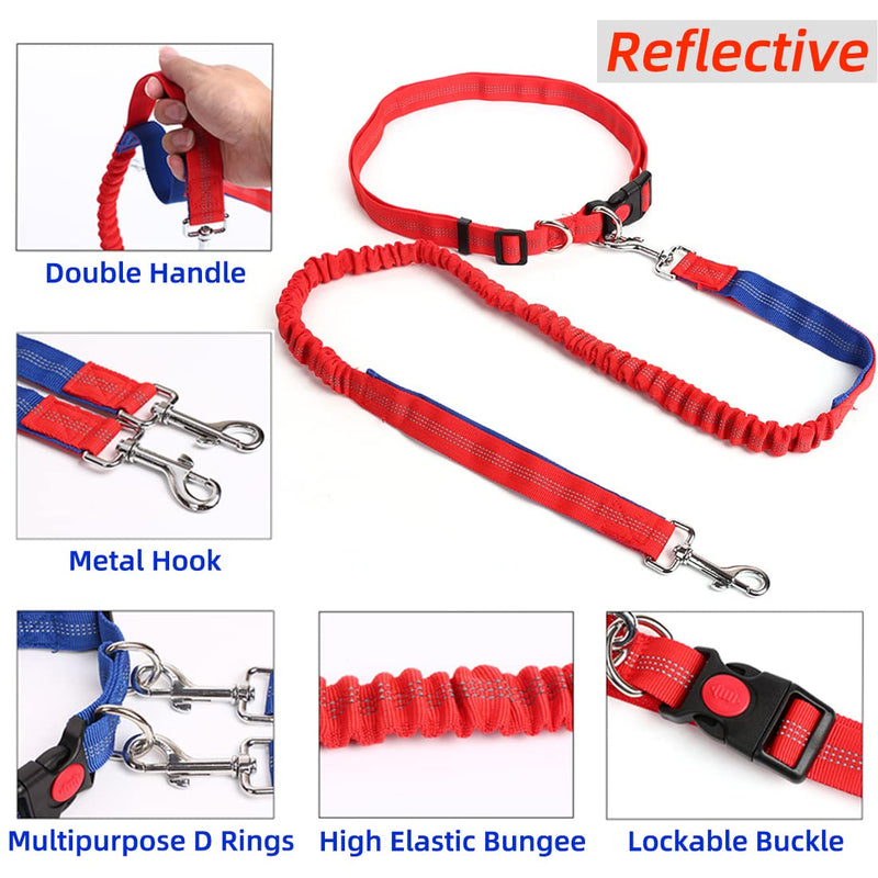 Hands Free Running/Walking/Training Dog Leash of 4 feet, Reflective Stitching Safety Proof Locking Buckle Waist Belt of 50.4 Inch/128 cm, Comes with a Bonus Dog Collar. Medium Leash (Blue/Red) + Collar (red) - BeesActive Australia