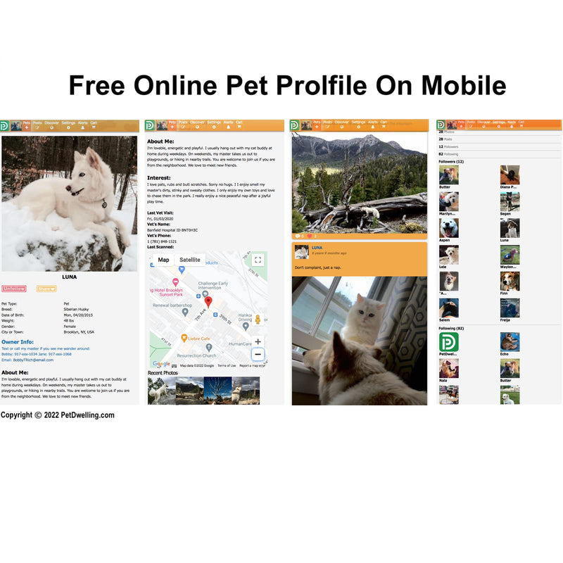 Pet Dwelling 2D QR Code Pet ID Tag - Dog Tags - Cat Tags - Online Pet Profile - Instant Email Alert - Scanned QR Tag GPS Location Pink Paw 2d - BeesActive Australia
