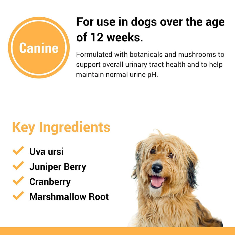 Vet Classics Urinary Tract Dog Supplement- Urinary Tract Support for Dogs, Pet Incontinence- Cranberry Dog Supplements- Chewable Tablets 120 Ct. - BeesActive Australia