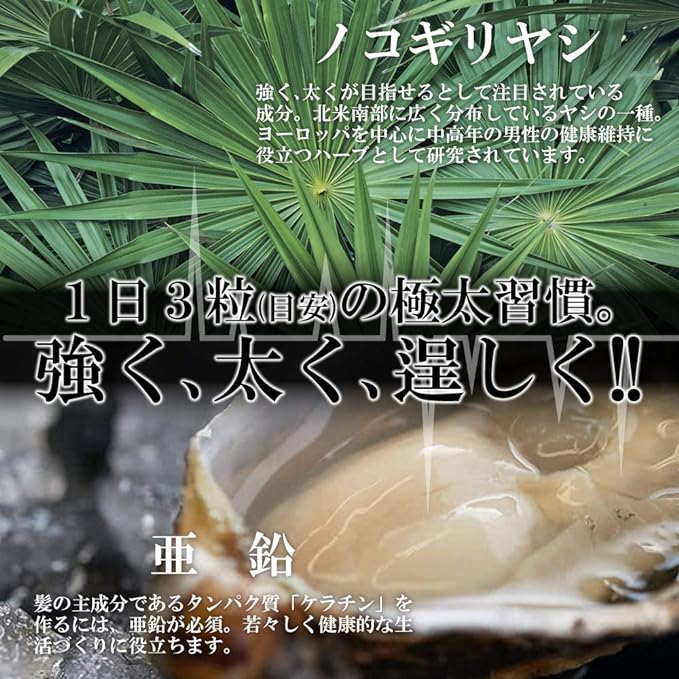 Hair Care Supplement AGA Volume Up Saw Palmetto L-Lysine Kelp Zinc GUNTO UP EX 90 tablets 30 days supply - BeesActive Australia