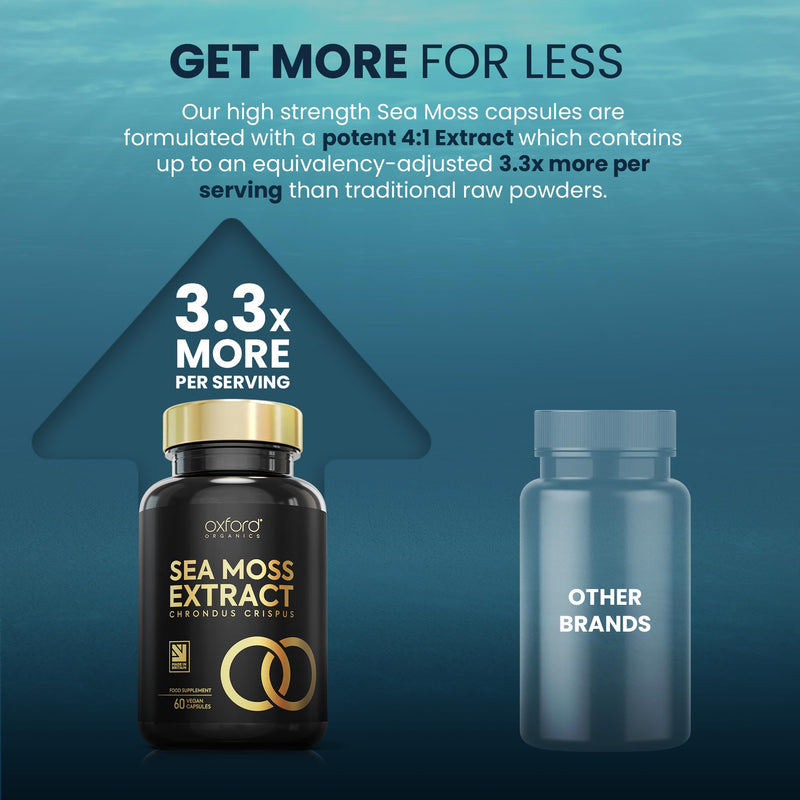 Advanced Sea Moss Capsules 2500mg | High Strength 4:1 Sea Moss Extract | 60 Vegan Capsules | Natural Iodine Supplement, Harvested & Made from Wild Seamoss (not Sea Moss Tablets) | Made in The UK - BeesActive Australia