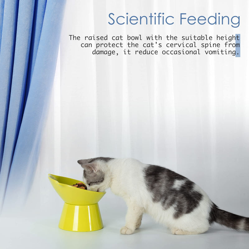Cat Bowls Raised Cat Food Bowls,Elevated Cat Bowls Slanted for Food and Water,Cat Feeding & Watering Supplies 15° Tilted Raised Cat Bowls, Anti Vomiting Cat Dish for Indoor Cats and Small Dogs Green - BeesActive Australia