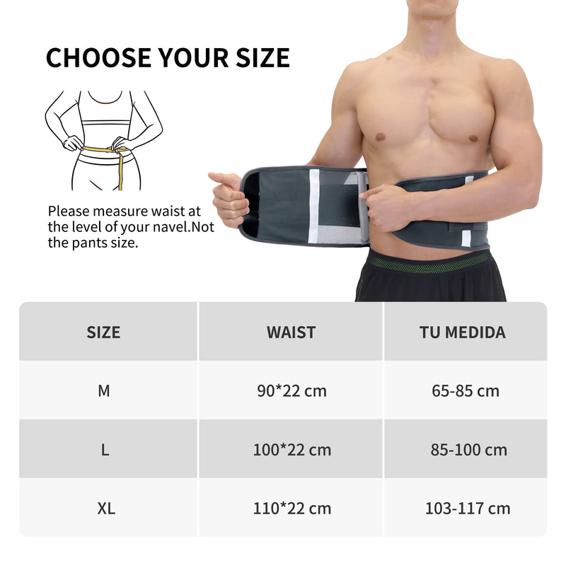 PROIRON Lower Back Support Belt for Men and Women - Lumbar Support Brace for Pain Relief, Sciatica, Scoliosis - Dual Adjustable Straps and Breathable Mesh (3 Sizes, M/L/XL - Waist 65cm to 117cm) XL (Waist Size: 40" - 46") - BeesActive Australia
