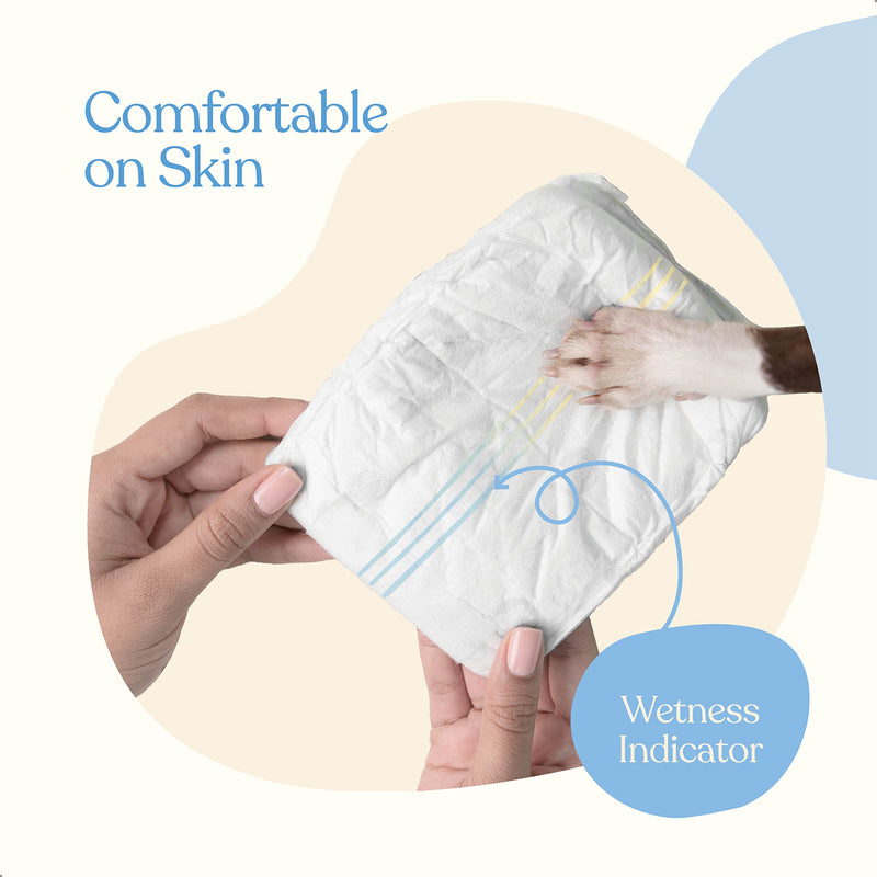 Comfortable Female Dog Diapers - Super Absorbent Disposable Doggie Diapers - FlashDry Gel Technology & Wetness Indicator - Leakproof Diapers for Dogs in Heat, Excitable Urination, Incontinence Small 24.0 - BeesActive Australia