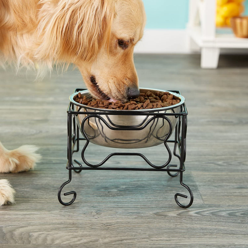 YML 5-Inch Wrought Iron Stand with Single Stainless Steel Feeder Bowl - BeesActive Australia