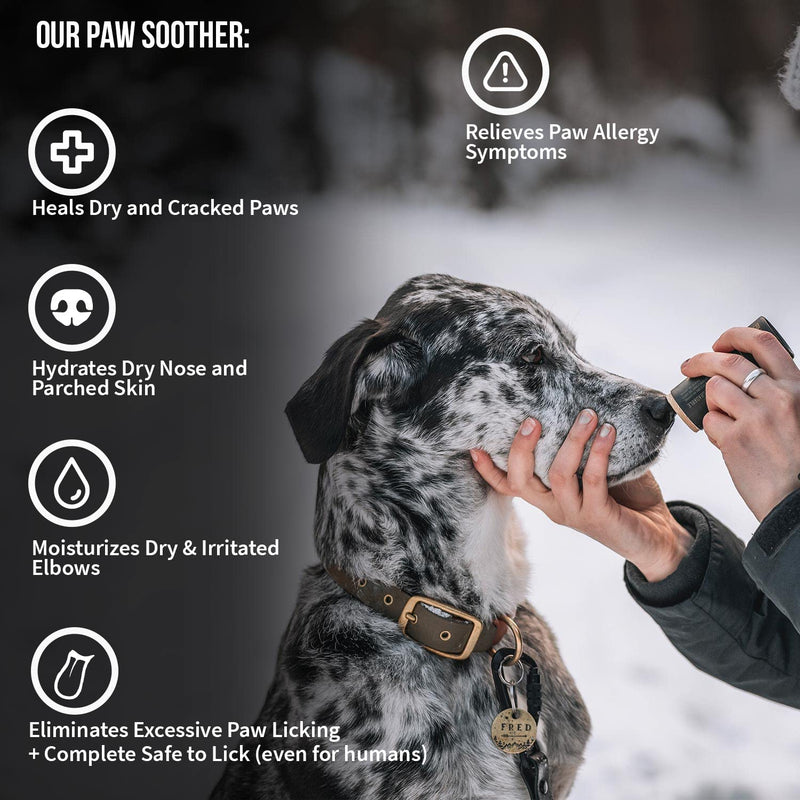 Paw Pad Protection Balm for Dogs – Dog Paw Balm Soother – Heals, Repairs and Moisturizes Dry Noses and Paws – Ideal for Extreme Weather Season Conditions - BeesActive Australia