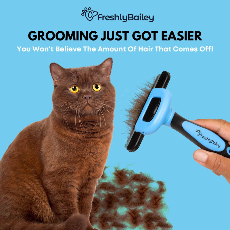 Freshly Bailey Deshedding Brush for Short Haired Dogs & Cats - Cat and Dog Brush for Shedding Short Hair - Highly Effective Deshedder Grooming Comb - BeesActive Australia