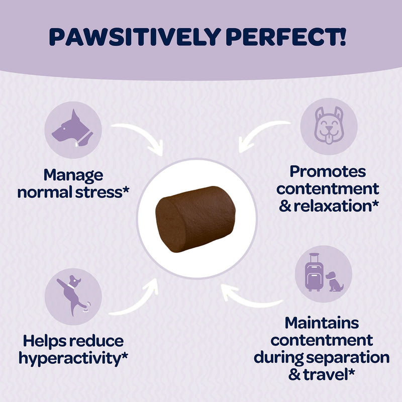 Calming & Relaxing Chews by Ready Pet Go! | Anti Anxiety Dog Treats | Composure Chews for Dogs | Relieves Stress by Separation, Fireworks, Noise, Thunder & Barking | 90 Chews - BeesActive Australia