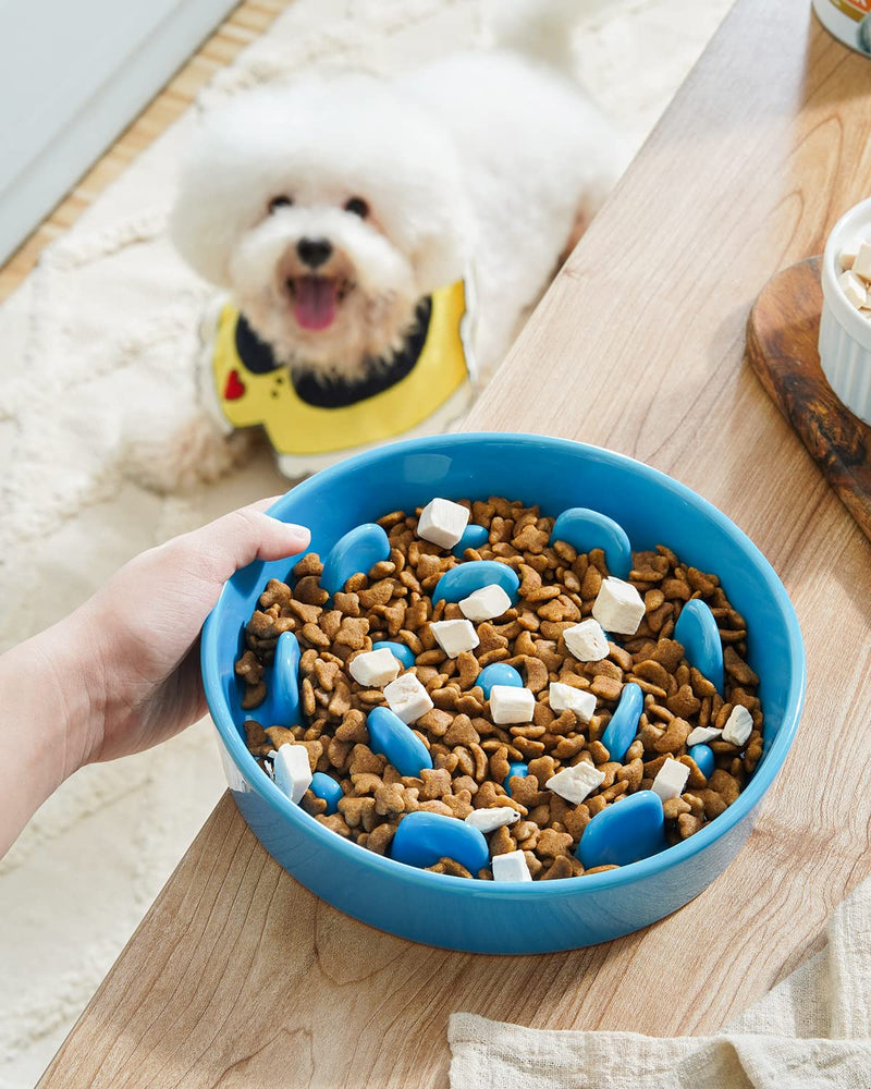 LE TAUCI Dog Bowl Slow Feeder Ceramic, 1.5 Cups Slow Feeding Dog Bowl Small Medium Breed, Puppy Slow Feeder Bow for Fast Eaters, Dog Dishes to Slow Down Eating, Puzzle Dog Food Bowl - BeesActive Australia