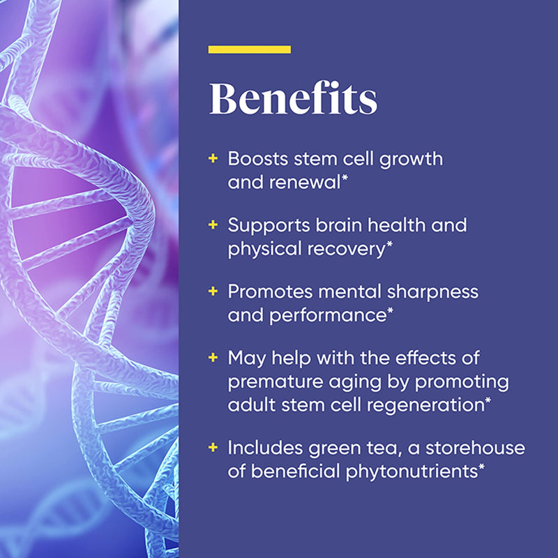 ENZYMEDICA - Stem XCell (60 Capsules) | Therapeutic Enzymes Supplements | Enzyme and Antioxidant Blend for Stem Cell Health and Regeneration, Nutrient Supplements, Vegetarian, Dairy Free, Gluten Free - BeesActive Australia