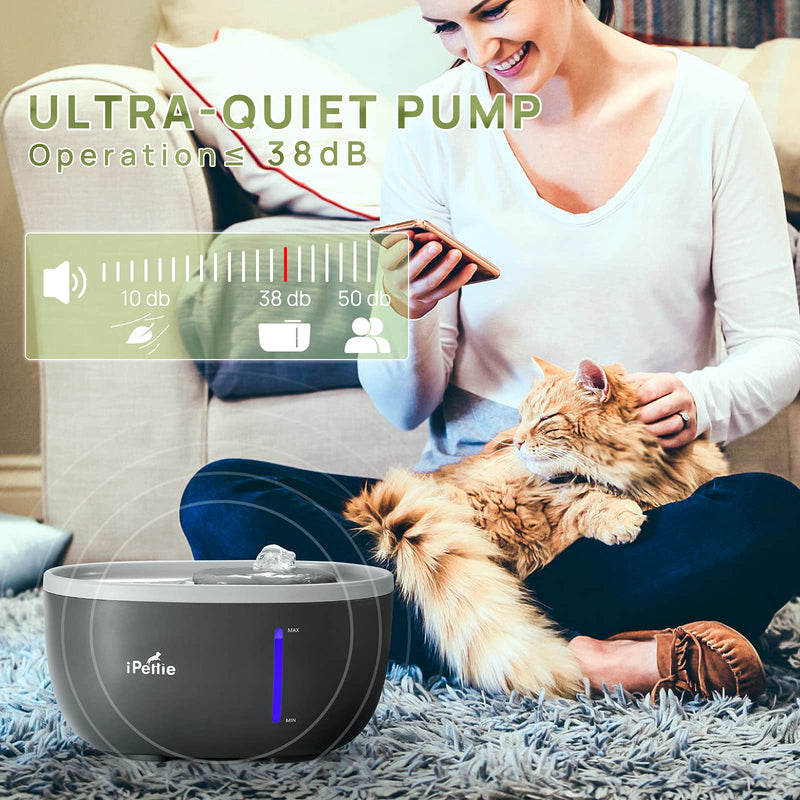 iPettie Avocado Pet Water Fountain with LED Light, 67oz/2.0L, Ultra Quiet Cat Water Fountain with Filter, Automatic Pet Water Fountain for Cats and Small Dogs, Grey Grey (with Adapter) - BeesActive Australia