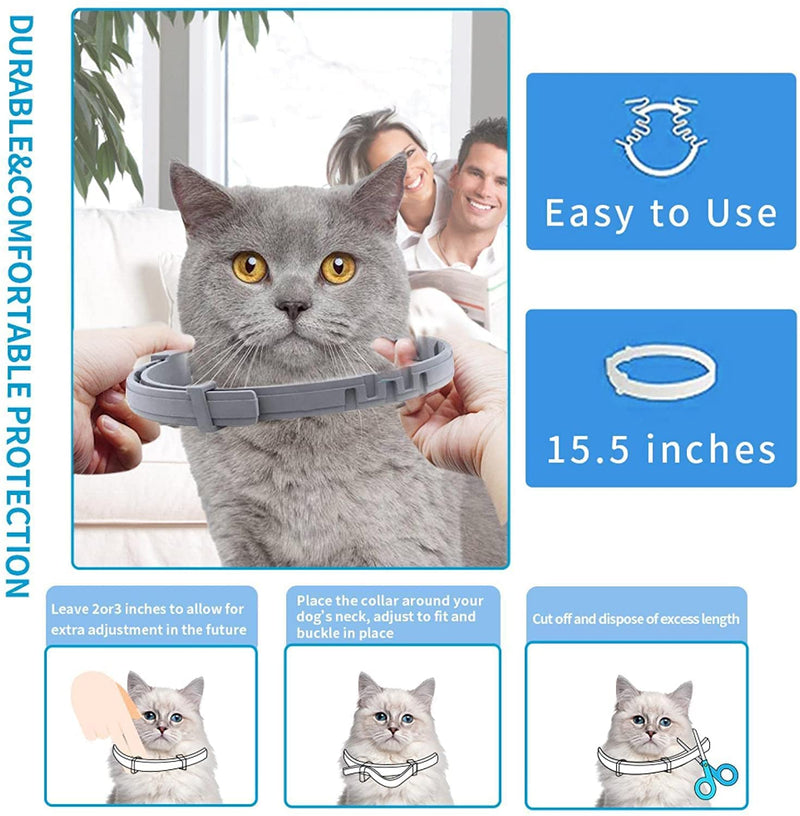 Advanllent Flea Collar for Cats, Flea and Tick Collars for Cats and Kittens, 8 Month Protection, Gray - BeesActive Australia