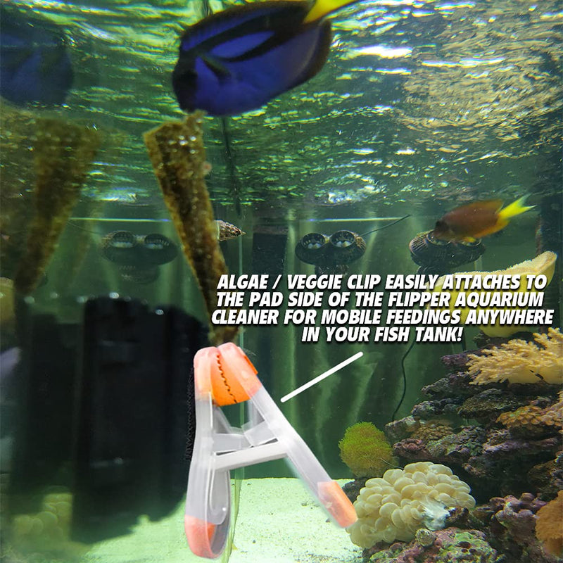 FL!PPER Flipper Feeder - Aquarium Cleaner Fish Food Feeding Clip Kit – Fish Tank Accessories for Flipper Nano, Standard & Max Aquarium Cleaning Tools – Flipper Glass Cleaner Aquarium Accessories - BeesActive Australia