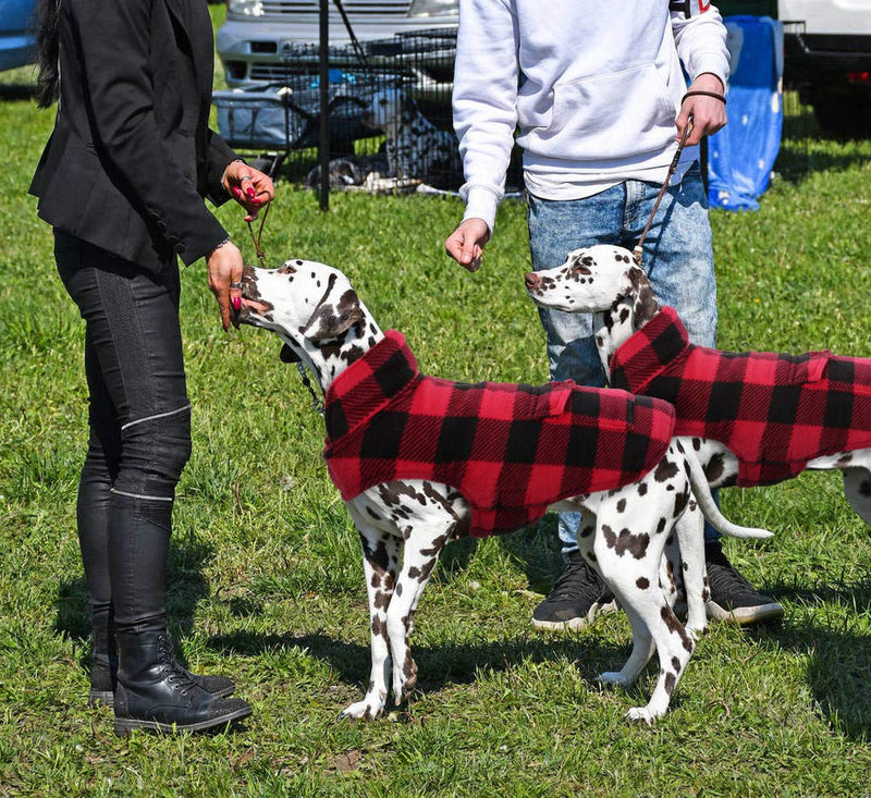 Kuoser British Style Plaid Dog Winter Coat, Windproof Cozy Cold Weather Dog Coat Dog Apparel Dog Jacket Dog Vest for Small Medium and Large Dogs with Pocket & Leash Hook XS-3XL X-Large (Chest Girth: 24.4-29.9'') Red - BeesActive Australia