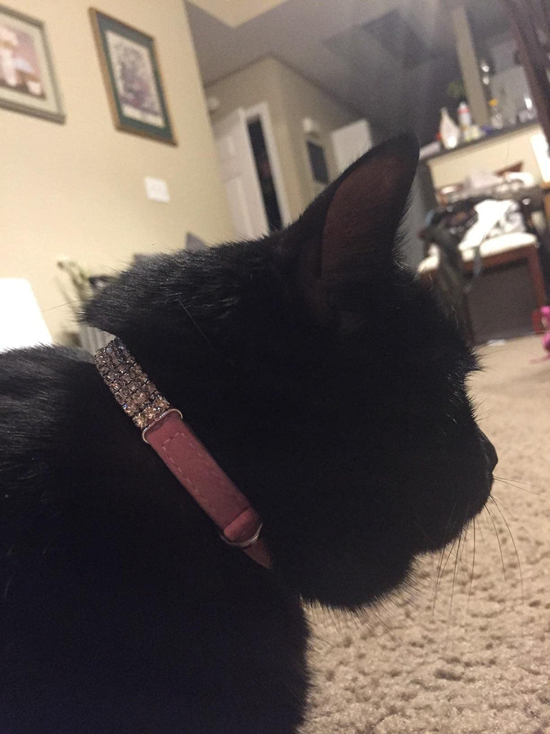 CHUKCHI Soft Velvet Safe Cat Adjustable Collar Bling Diamante with Bells,11 inch for Small Dogs and Cats Pink - BeesActive Australia