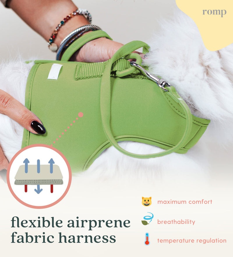 Cat Harness, Collar & Leash Set - Escape Proof Adjustable Choke Free Velcro Harness Vest for Walking Cats & Kittens Matcha Green Small - BeesActive Australia