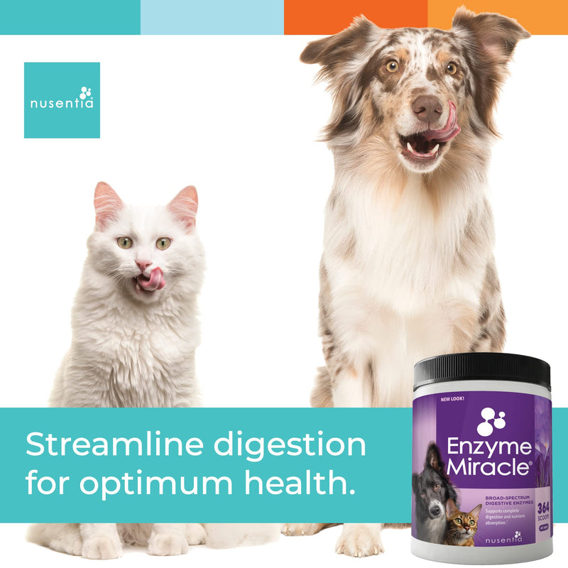 Enzymes for Dogs & Cats - Enzyme Miracle - Systemic & Digestive Enzyme Formula - Powder - 364 Servings - Vegetarian - BeesActive Australia