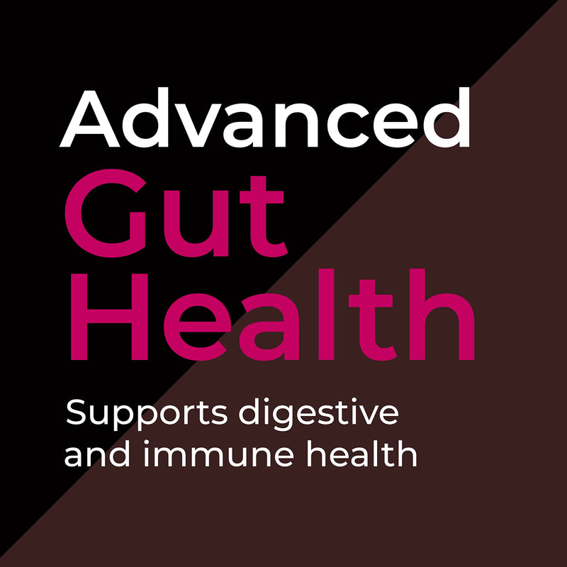 Biomel Complete Gut | Probiotic + Prebiotic | 30 Servings (Belgian Chocolate) Belgian Chocolate - BeesActive Australia