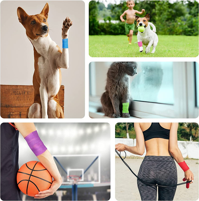 Lenicany 12Pack 1” x 5 Yards Self Adhesive Bandage Wrap, Elastic Self Breathable Self Adherent Wrap for Pets, Athletic Cohesive Bandage for First Aid, Sports Injury & Protection, 12Color 1” x 5 Yards (12-Pack) - BeesActive Australia