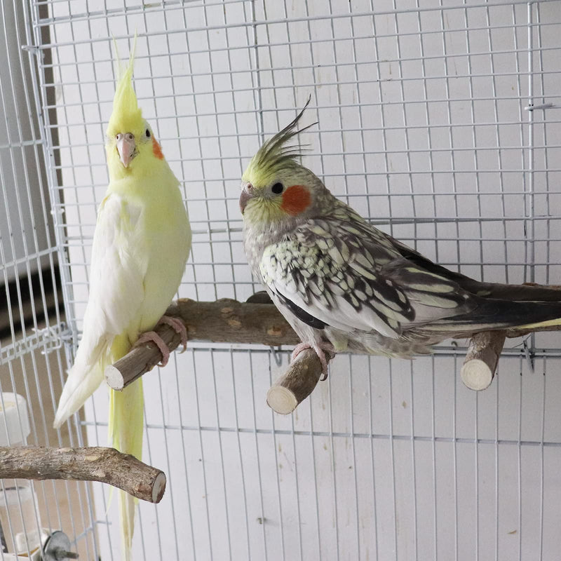 2 Pack Bird Ladder, Bird Perch Stand, Natural Prickly Ash Wood Bird Parrot Cage Accessories, Bird Standing Climbing Chewing Toys for Parakeet Cockatiel Rats Hamsters - BeesActive Australia