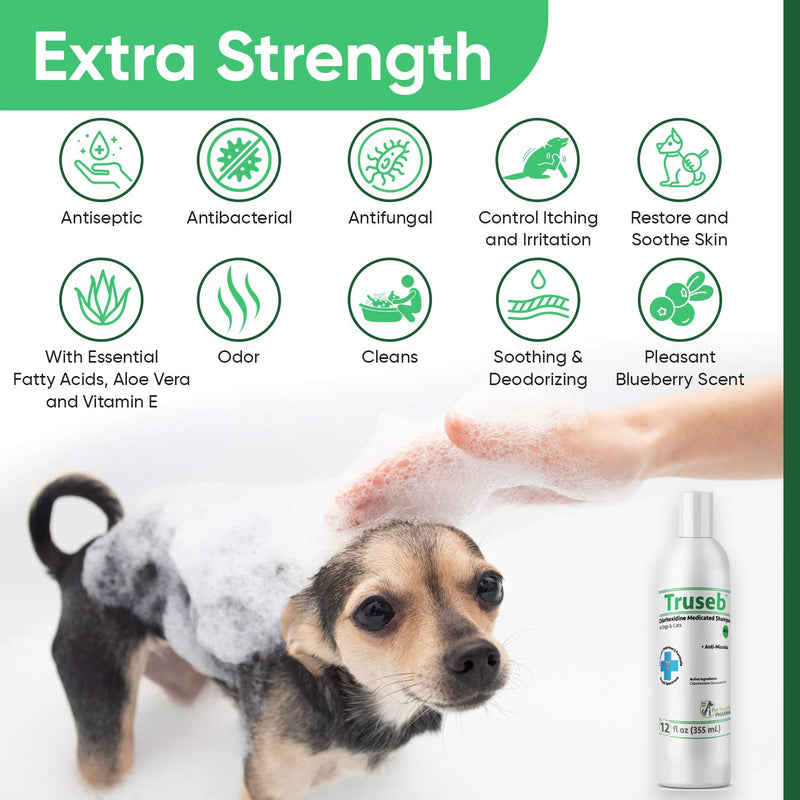 Pet Health Pharma Medicated Dog and Cats Chlorhexidine 4% Shampoo 12 Oz - BeesActive Australia