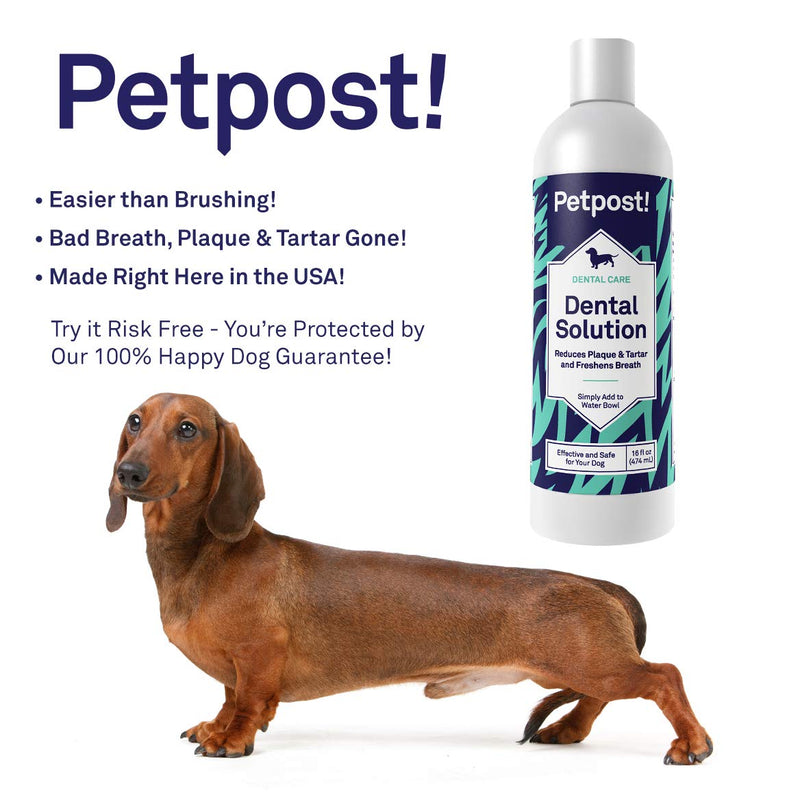 Petpost | Dental Solution for Dogs - Water Additive That Eliminates Bad Breath - Dirt, Gunk, and Tooth Buildup Gone - Natural Tooth Cleaning Solution 16 Fl Oz (Pack of 1) - BeesActive Australia