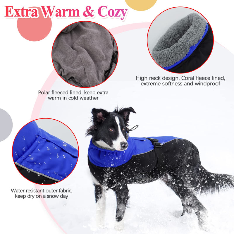 IECOii Extra Warm Dog Coat Reflective Adjustable Dog Jacket Dog Winter Coat with Buckle Fleece Turtleneck Dog Jacket for Cold Weather Soft Winter Coat for Small Medium Extra Large Dogs X-Large Blue - BeesActive Australia
