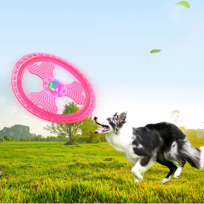 Wandrola Flying Disc Dog Sport Toy with Flashing LED Lights, Light Up Pet Disk for Ultimate Night Time Play Pink - BeesActive Australia