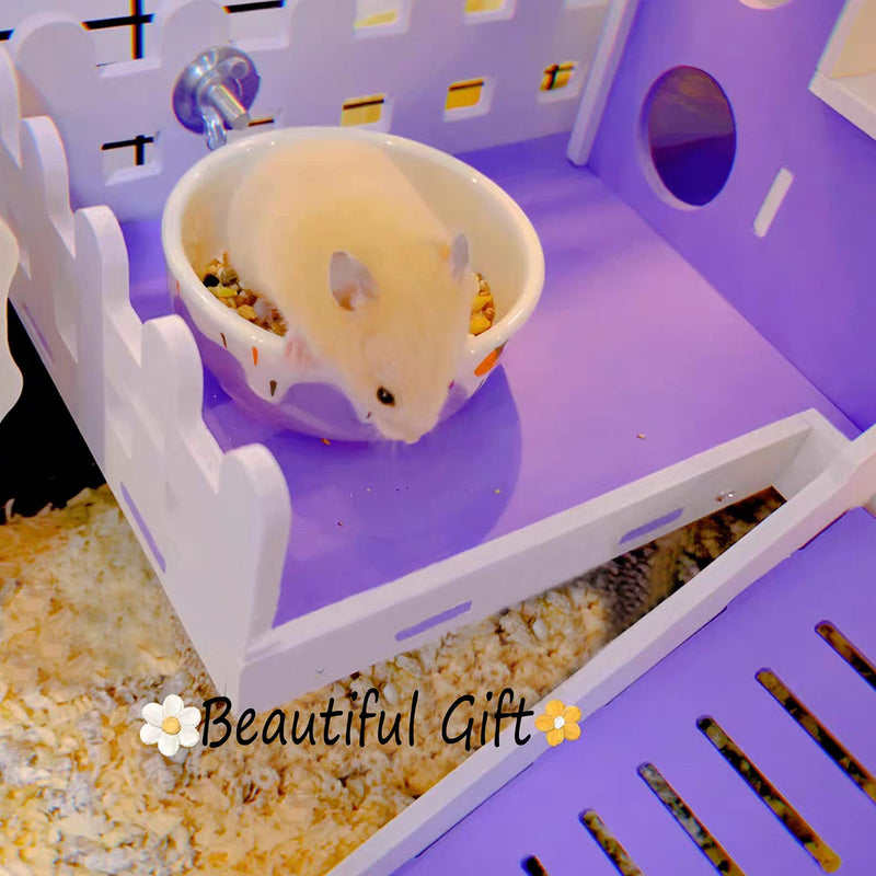 Hamster Food Bowl,Small Animals Ceramic Food Water Bowl Prevent Tipping Moving for Guinea Pig Rabbit Gerbil Chinchilla Hedgehog Rat (2 Pack) (- Color: Purple + Blue) - BeesActive Australia