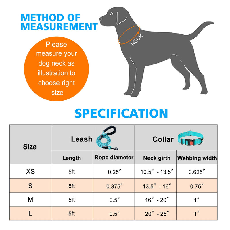 Ladoogo Heavy Duty Dog Leash - Comfortable Padded Handle, 5 ft Long - Dog Leashes for Small Medium Large Dogs Small (Pack of 1) Blue Leash+Collar - BeesActive Australia