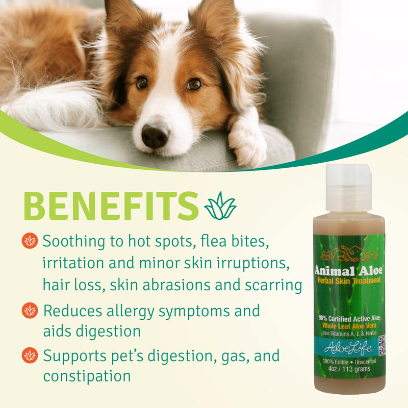 Aloe Life - Animal Aloe, Pet-Safe Digestive Aid & Skin Treatment Gel, Helps to Soothe Hotspots, Flea Bites & Irritation, Supports Your Pet’s Digestive Health & Overall Wellness, Fragrance-Free (4 oz) - BeesActive Australia