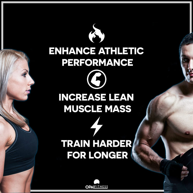 Creatine Monohydrate Tablets by Opal Fitness – Easy to Swallow Vegan Tablets - Scientifically Proven to Increase Muscle Strength, High Intensity Explosive Energy, and Build Lean Muscle Mass - BeesActive Australia