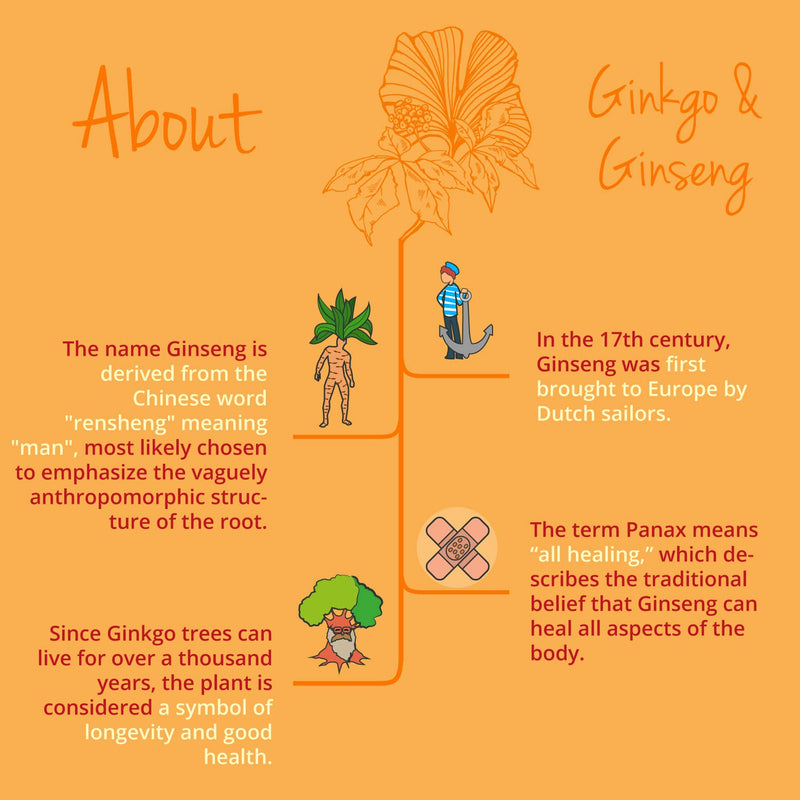 Ginkgo Biloba & Panax Ginseng Vegavero� | NO Additives | 12000 mg Ginkgo & 2000 mg Red Korean Ginseng Extracts | Vegan | 120 Capsules (4 Month Supply) - BeesActive Australia