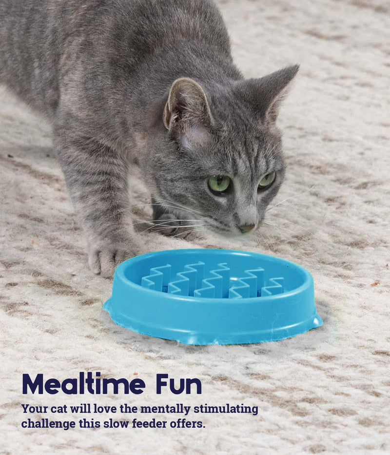 Petstages Interactive Cat Puzzles, Slow Feeders, and Treat Dispensing Toys Feeder Blue Fun Feeder - BeesActive Australia
