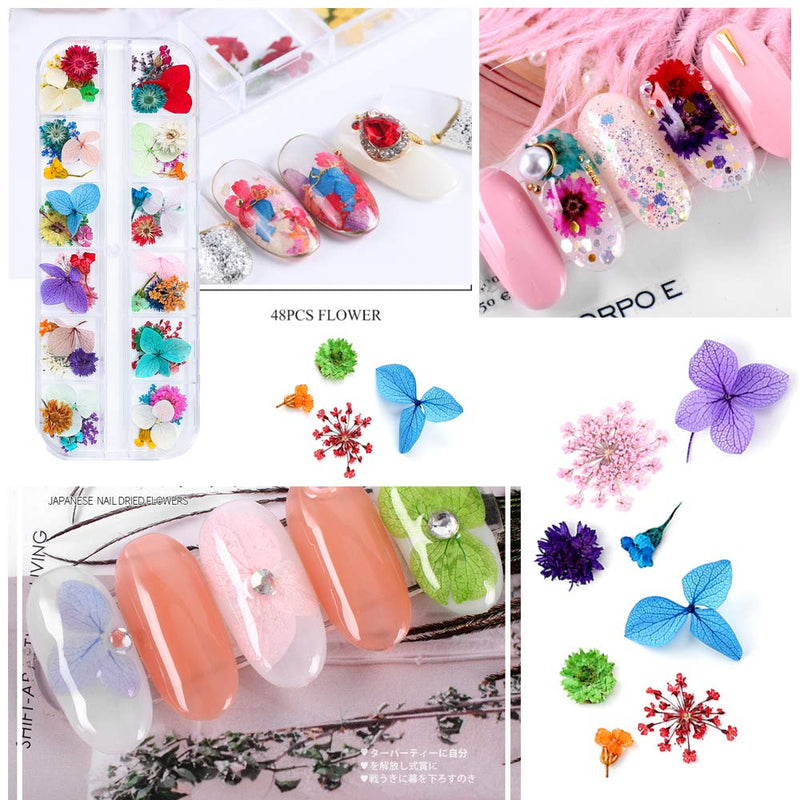 iFancer 108 Pcs Dried Flowers for Resin Nail Art 62 Colors 3D Dry Flowers for Nails 2 Boxes Small Tiny Dried Flowers for Nail Art Little Pressed Real Natural Flower Nail Art Design Decoration Supplies 2 Boxes 108pcs - BeesActive Australia