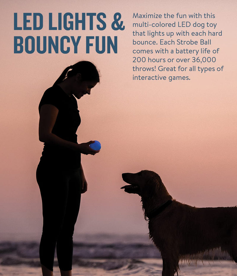 Planet Dog Orbee-Tuff Interactive Ball Dog Toys Strobe (LED Light-up Ball) One-Size Glow in The Dark - BeesActive Australia