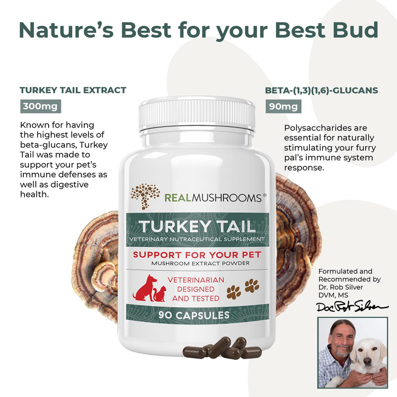 Turkey Tail Pet Support - Dog Multivitamins and Supplements for Immune Support, Gut Health & Wellness - Grain-Free, Gluten-Free, Vet-Approved Dog Supplement (90ct) - BeesActive Australia