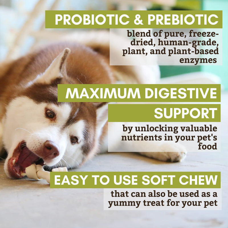 Wholistic Pet Organics:Dog Probiotics and Digestive Enzymes-Probiotic Chews for Dogs Digestive Health,Support Gut Health Immune Supplement Prevents Dog Digestive Problems-Puppy Probiotic Original 120 Count - BeesActive Australia
