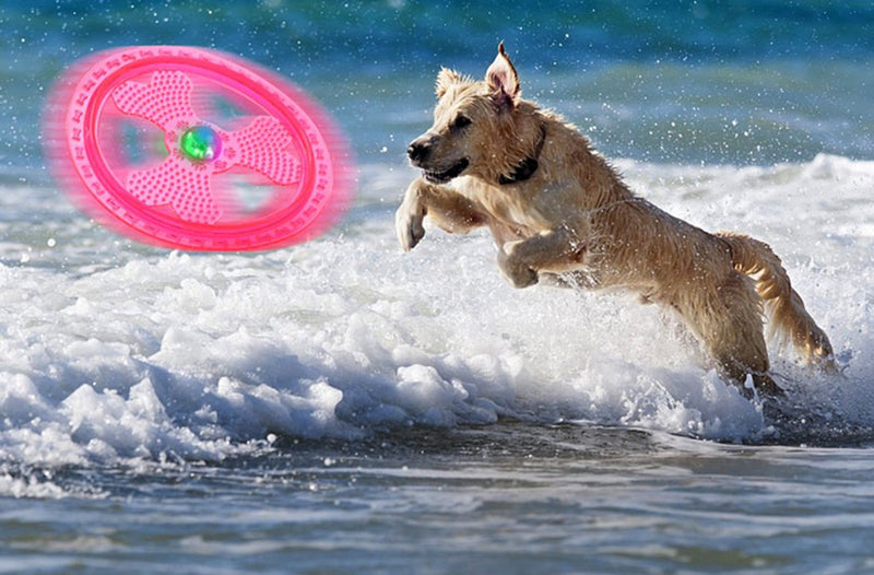 Wandrola Flying Disc Dog Sport Toy with Flashing LED Lights, Light Up Pet Disk for Ultimate Night Time Play Pink - BeesActive Australia