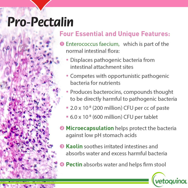 Vetoquinol Pro-Pectalin Oral Paste for Dogs & Cats – Chicken Flavor – Helps Reduce Occasional Loose Stool & Diarrhea, Balance Gut pH, Support Normal Digestion & Intestinal Flora 30cc - BeesActive Australia