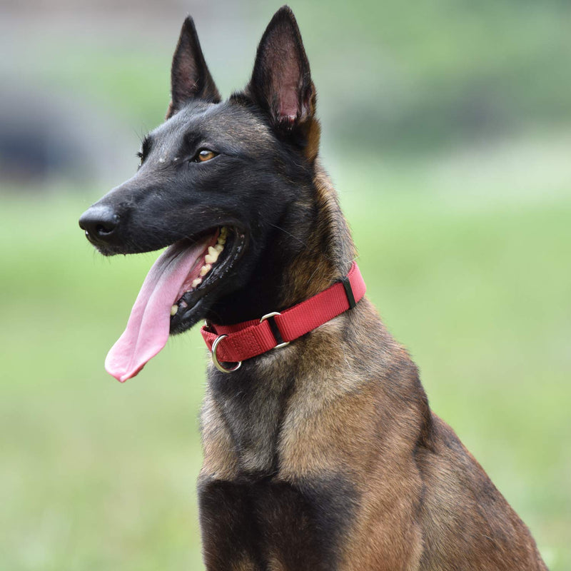 Hyhug Pets Premium Upgraded Heavy Duty Nylon Anti-Escape Martingale Collar for Boy and Girl Dogs Comfy and Safe - Professional Training, Daily Use Walking. Large Red - BeesActive Australia